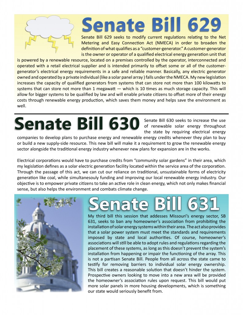 Holsman - Newsletter 2 - 0201162