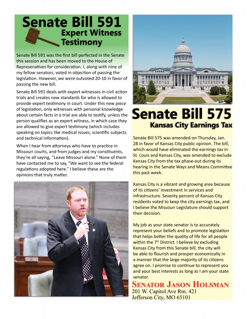 Holsman - Newsletter 3 - 0201163