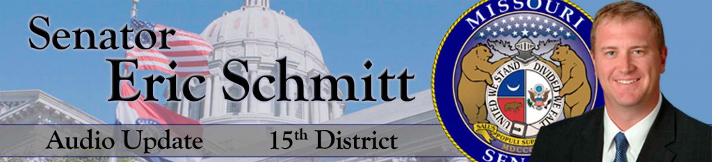Schmitt - Audio Update Banner - 110211