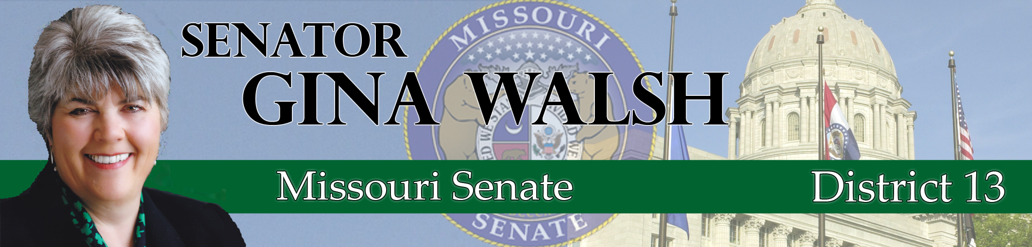 Walsh - General Banner - 032813