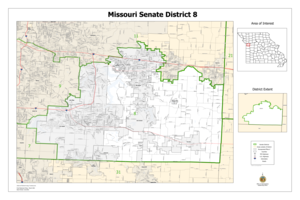 District 8 map preview