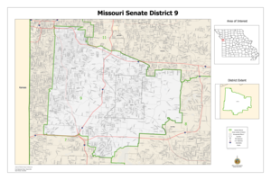 District 9 map preview